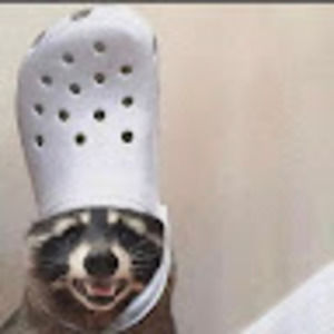 Meet your Posher, Lil